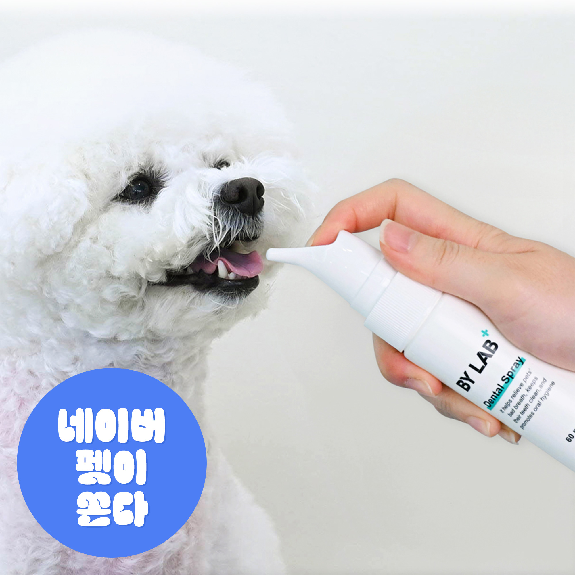 바이랩 덴탈 스프레이 강아지 구강 입냄새 치석 제거 뿌리는 치약 치아관리 60ml, 1개
