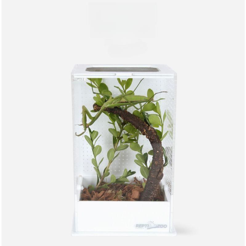 왕사마귀 사육장 메뚜기 습식은신처 아크릴 케이지 소형 10x8.5x15cm - 상세 이미지 2