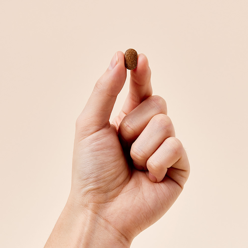 [50%할인] 배한호원장의 명작 식물성 멜라토닌 2mg 코자멜라 30정, 12개 - 상세 이미지 5