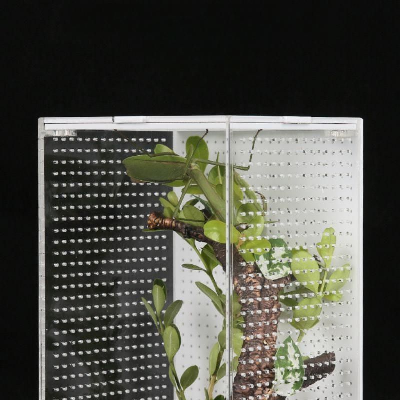 왕사마귀 사육장 메뚜기 습식은신처 아크릴 케이지 소형 10x8.5x15cm - 상세 이미지 3