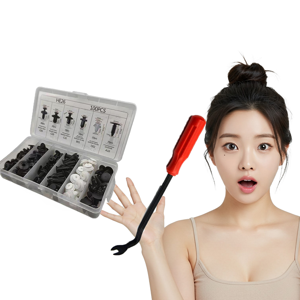 자동차 고정핀 클립 파스너 패스너 화스너 도어트림 범퍼고정 핀 휀더 휀다 6종 100개 SET - 상품 이미지