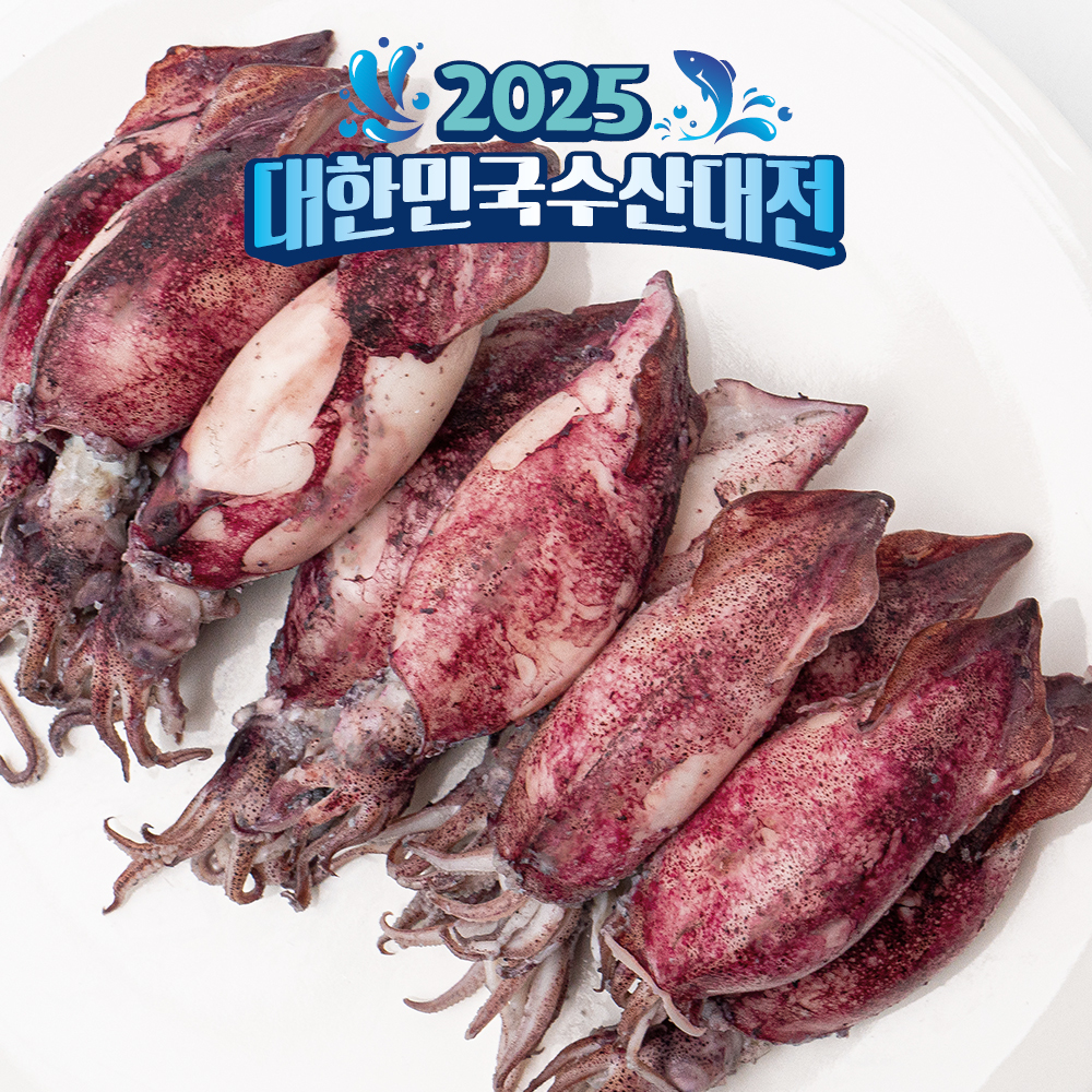 총알 한치 미니 총알한치 오징어 통찜용