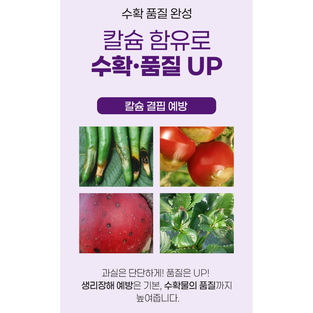 한번에쑥 업 10KG 질산태질소 엔케이 nk 마그네슘 칼슘 고추 마늘 추비 웃거름 유니 복합 잔디 비료 - 상세 이미지 5