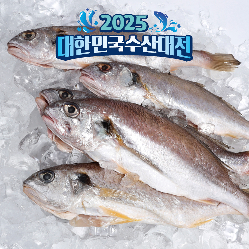 훈훈수산 제주 백조기 한림수협 백조기 국내산 조림용 구이용 개별포장 - 상품 이미지