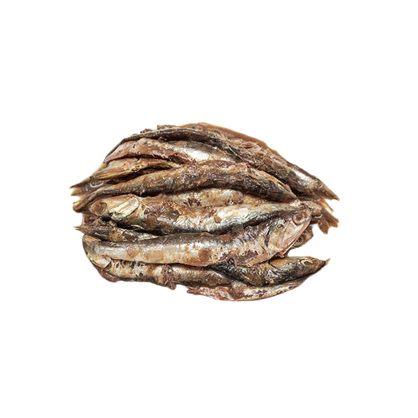 강경진주상회 멸치젓 2kg : 기억유통