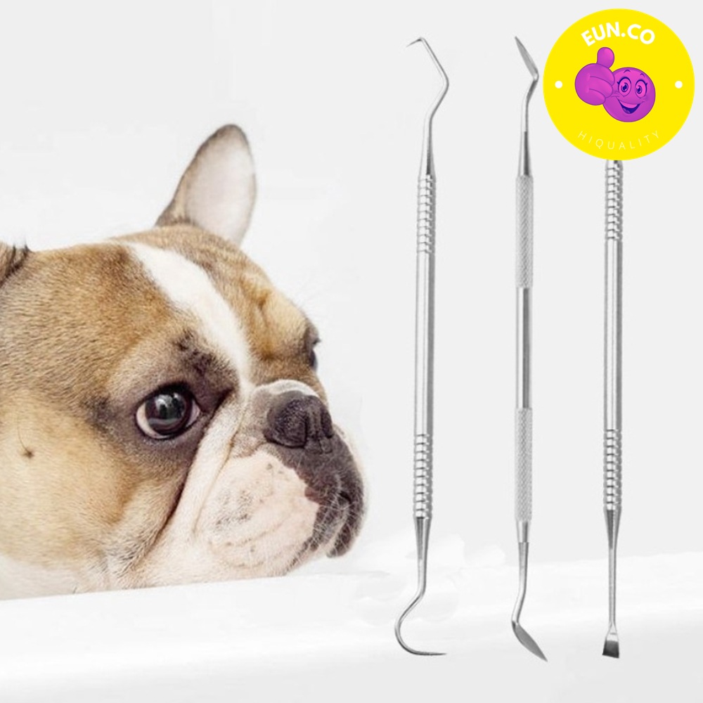 강아지 고양이 치석 제거기 셀프 스케일링 양치 반려동물 양치질