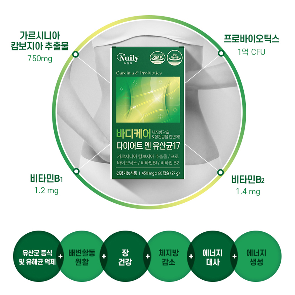다이어트 대사 유산균17 락토코커스 락티스균 내장지방균 체지방감소 알약 상온 60캡슐 - 상세 이미지 2