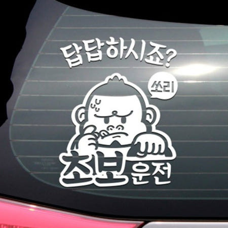 [지역상점 협력사]초보운전 스티커 싸나이 쏘리 화이트 죄송 안내문구 연습 뒷유리 알림 글자