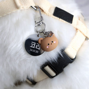 두펫 강아지 고양이 목걸이 QR 펜던트 외장칩 이름표 인식표 솔직 후기 | 실제 사용자 리뷰 총정리 - 상품 이미지 2