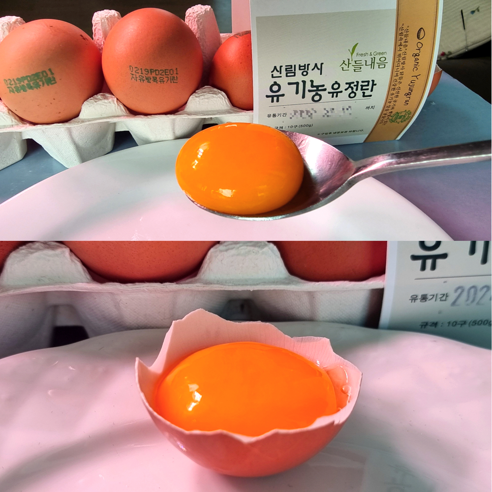 산들프레시 횡성 산림농원 유기농 유정란 [왕란 ] 자연방사 난각번호1번 10구, 1개 - 상품 이미지