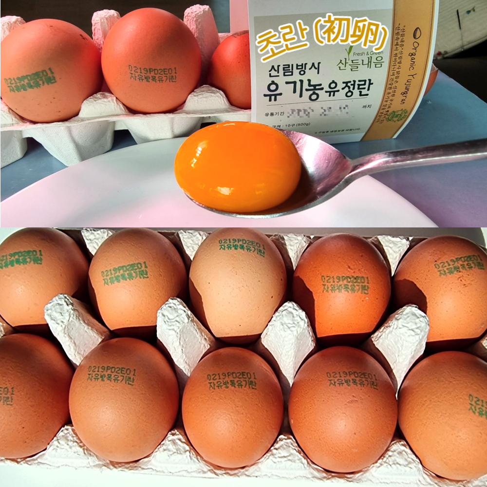 산들프레시- 횡성 산림농원 '초란' 유기농 유정란, 자연방사 난각번호1번 20구, 1개 - 상품 이미지