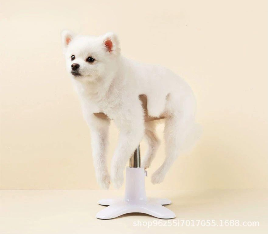 미용기기 강아지 고양이 댕댕이 반려견 미용의자 : wildlife11