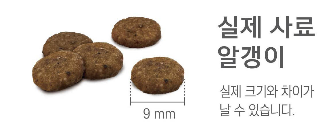 건강백서 비숑, 2kg, 2개 이미지 8
