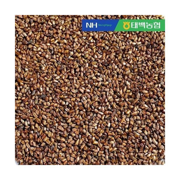 더조은우리농산물 한산애 결명자 500g : modern8067