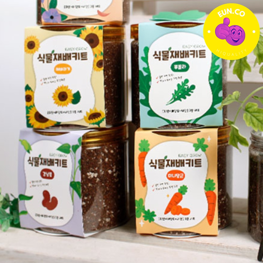 반려식물 화분재배키트 식물화분 키우기 방울토마토 딸기 고수 바질