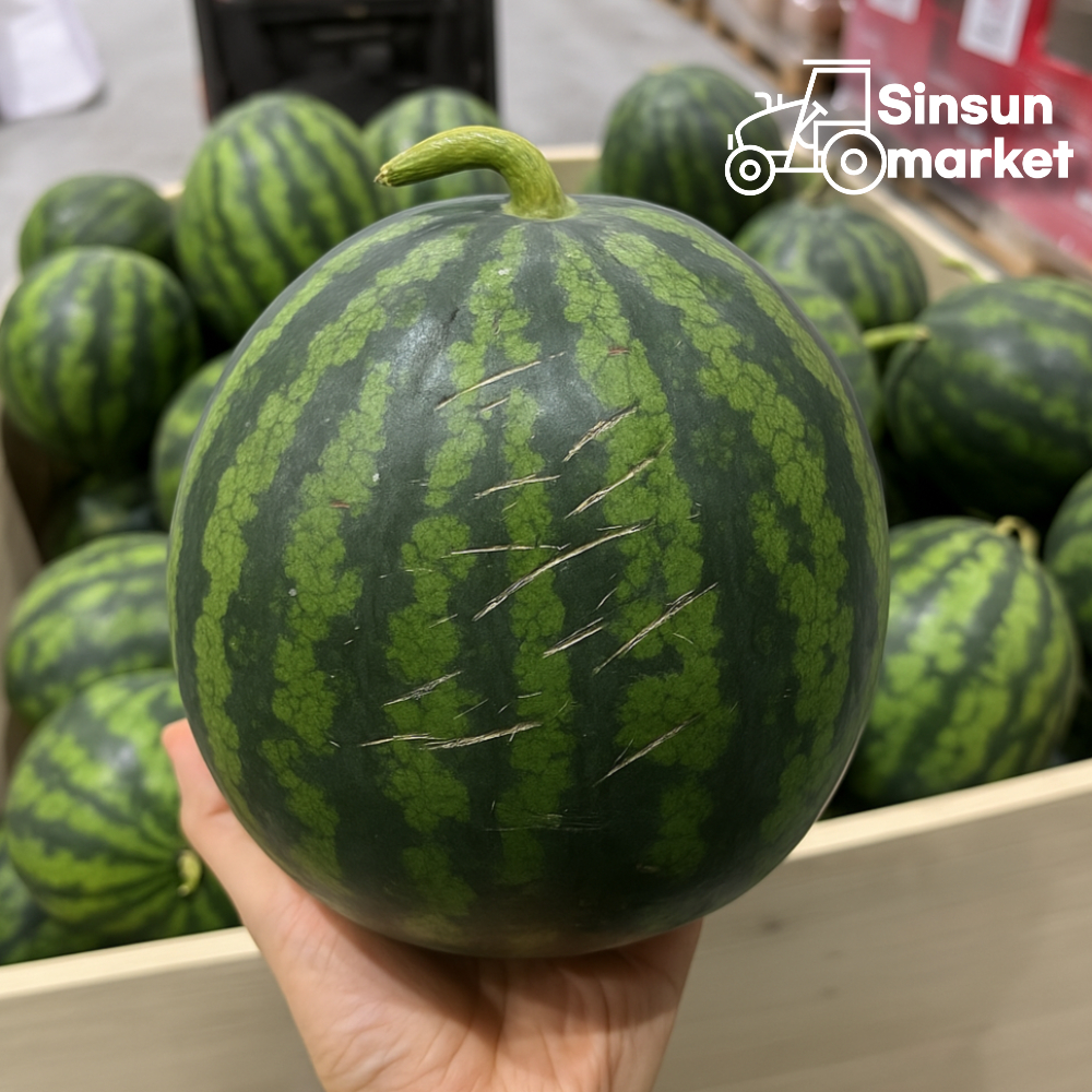 신선마켓 노지 수박 4kg, 1개 - 상품 이미지