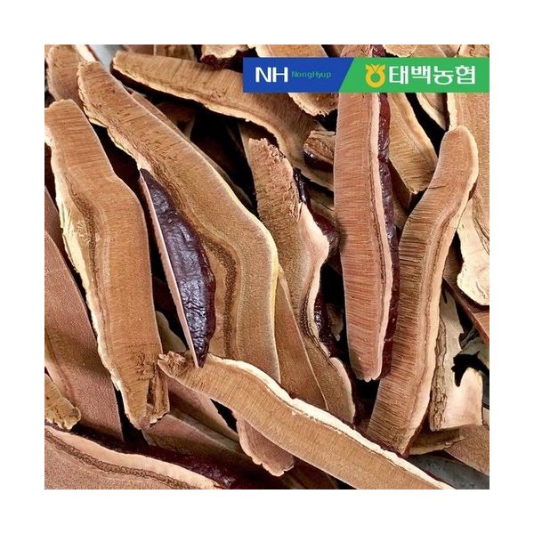 더조은우리농산물 한산애 영지 200g : modern8067