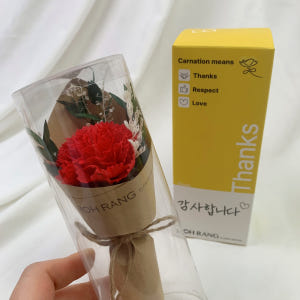 어버이날 카네이션 비누꽃 스승의날 한송이꽃 선물 카레 미니 꽃다발 실사용 후기 | 효과 있을까? - 상품 이미지 1