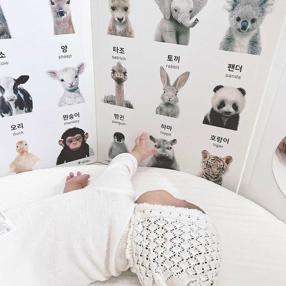 구구베베 아기병풍 유아 양면포스터 신생아 아기벽보 한글 병풍책 세이펜 호환 폴더북 6P - 상세 이미지 3