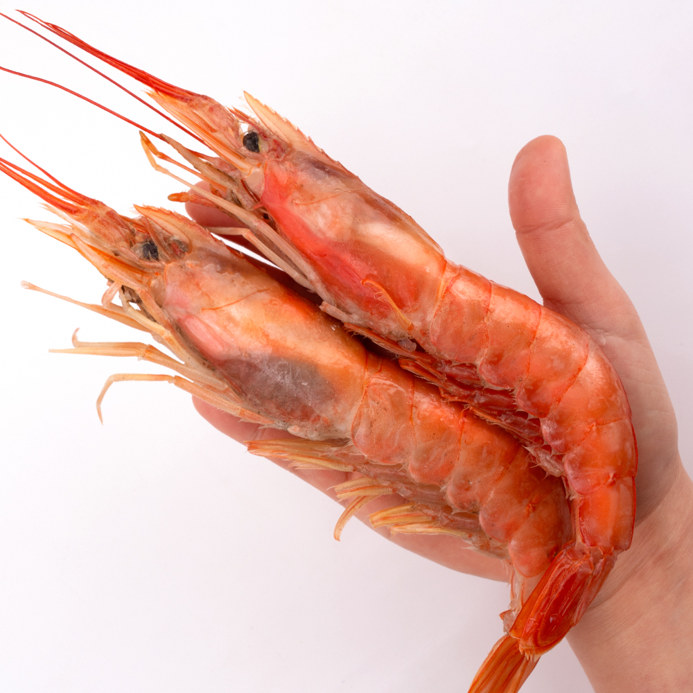자연산 홍새우 2KG L1 L2 급냉 아르헨티나 붉은새우 적새우 랍스터 냉동