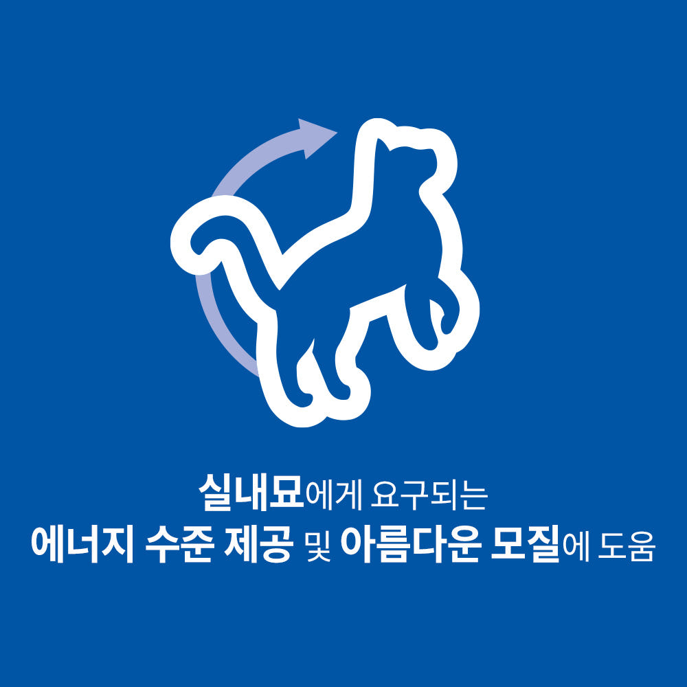 힐스 고양이사료 어덜트 인도어