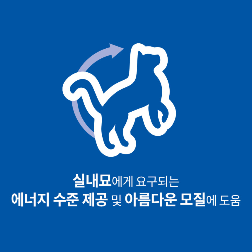 힐스 고양이사료 어덜트 인도어 1.6kg 사진 4