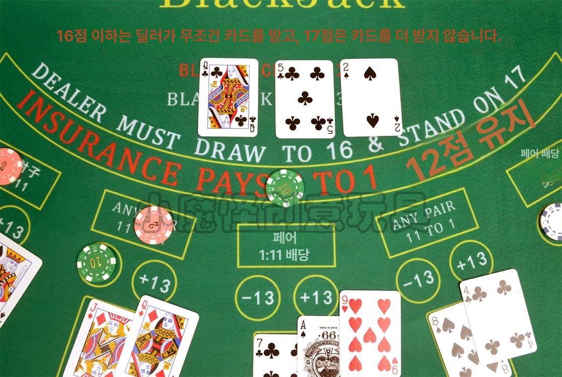 매트 블랙잭 판 홈덤펍  홀덤 바카라 카지노 보드게임 : wildlife11