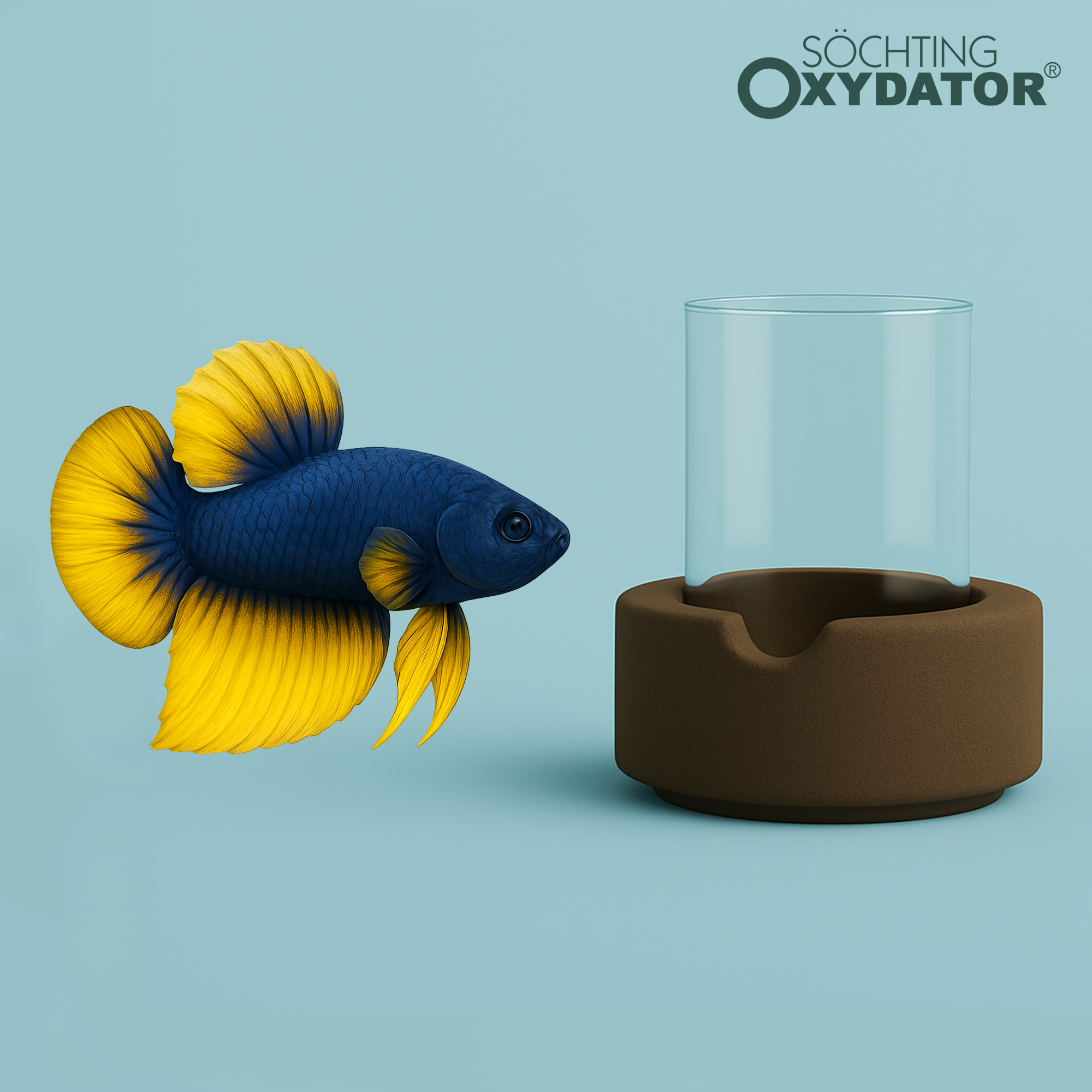 어항 산소공급기 무소음 무전력 산소발생기 구피 베타 새우 수초 소흐팅 옥시데이터 D