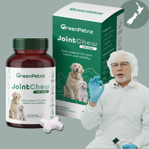 그린펫엔젯 강아지 관절 영양제 조인트츄 슬개골 뉴질랜드 정품 60정 2달... 솔직 후기 | 실제 사용자 리뷰 총정리 - 상품 이미지 1