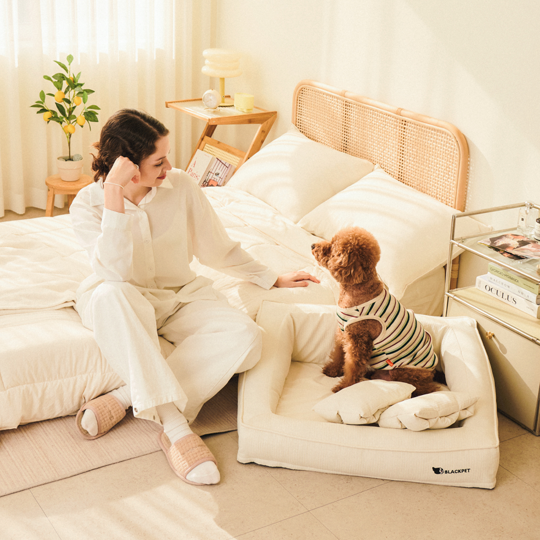 블랙펫 클라우드 빈 강아지 방석 애견 쿠션 강아지 침대 고양이 펫 베개 포함 - 상세 이미지 4