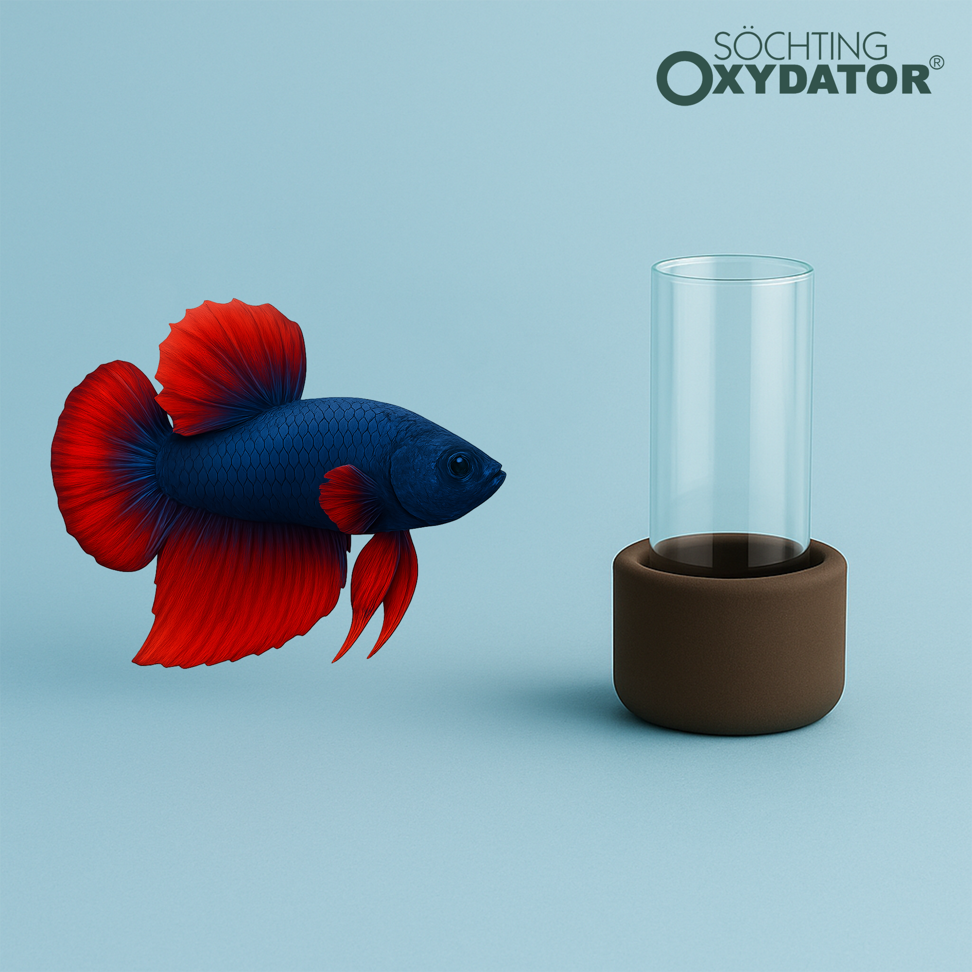 어항 산소공급기 무소음 무전력 산소발생기 구피 베타 새우 수초 소흐팅 옥시데이터 MINI