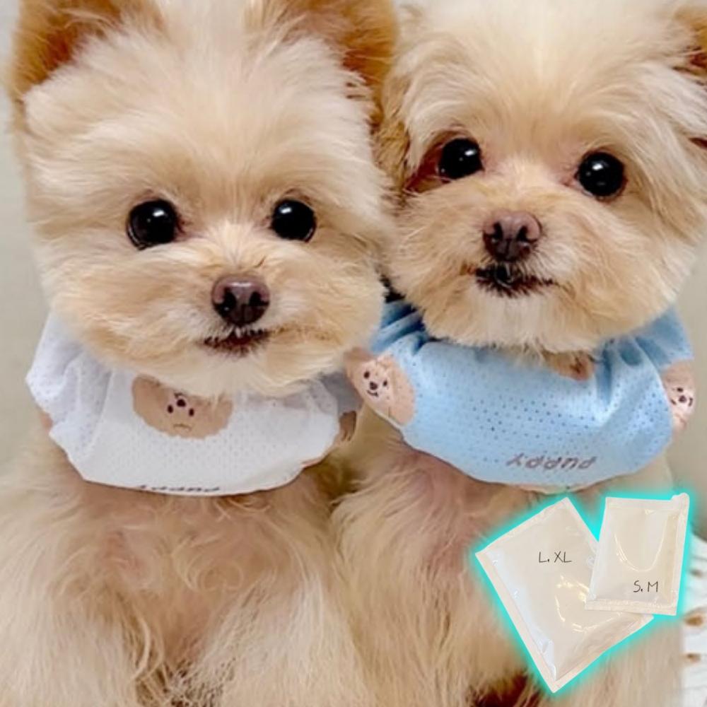 강아지얼음팩 아이스 강아지더위 쿨링 강아지냉패드 - 메인 이미지