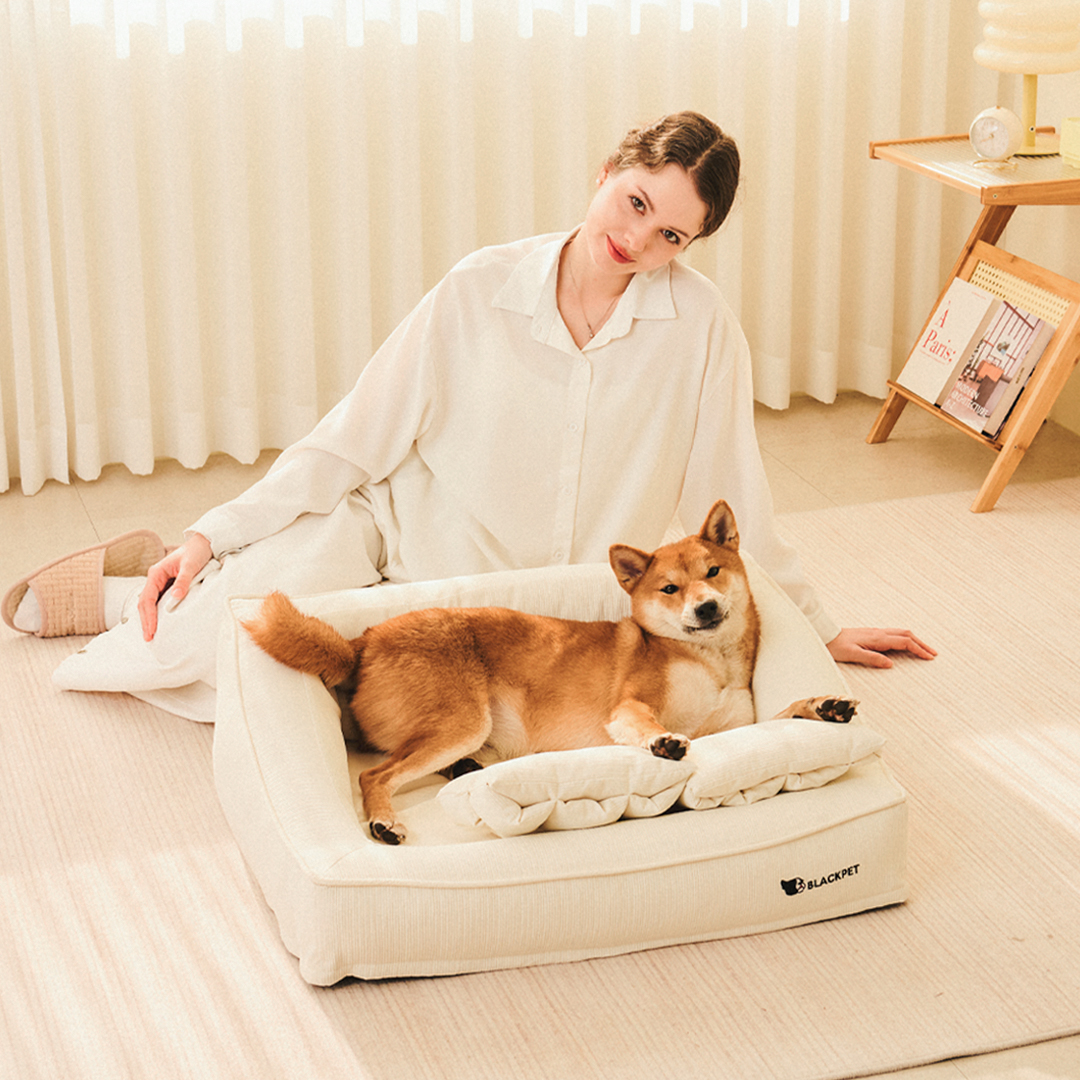 블랙펫 클라우드 빈 강아지 방석 애견 쿠션 강아지 침대 고양이 펫 베개 포함 - 상세 이미지 2