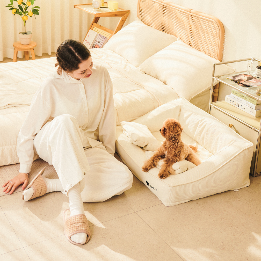 블랙펫 클라우드 빈 강아지 방석 애견 쿠션 강아지 침대 고양이 펫 베개 포함 - 상세 이미지 3