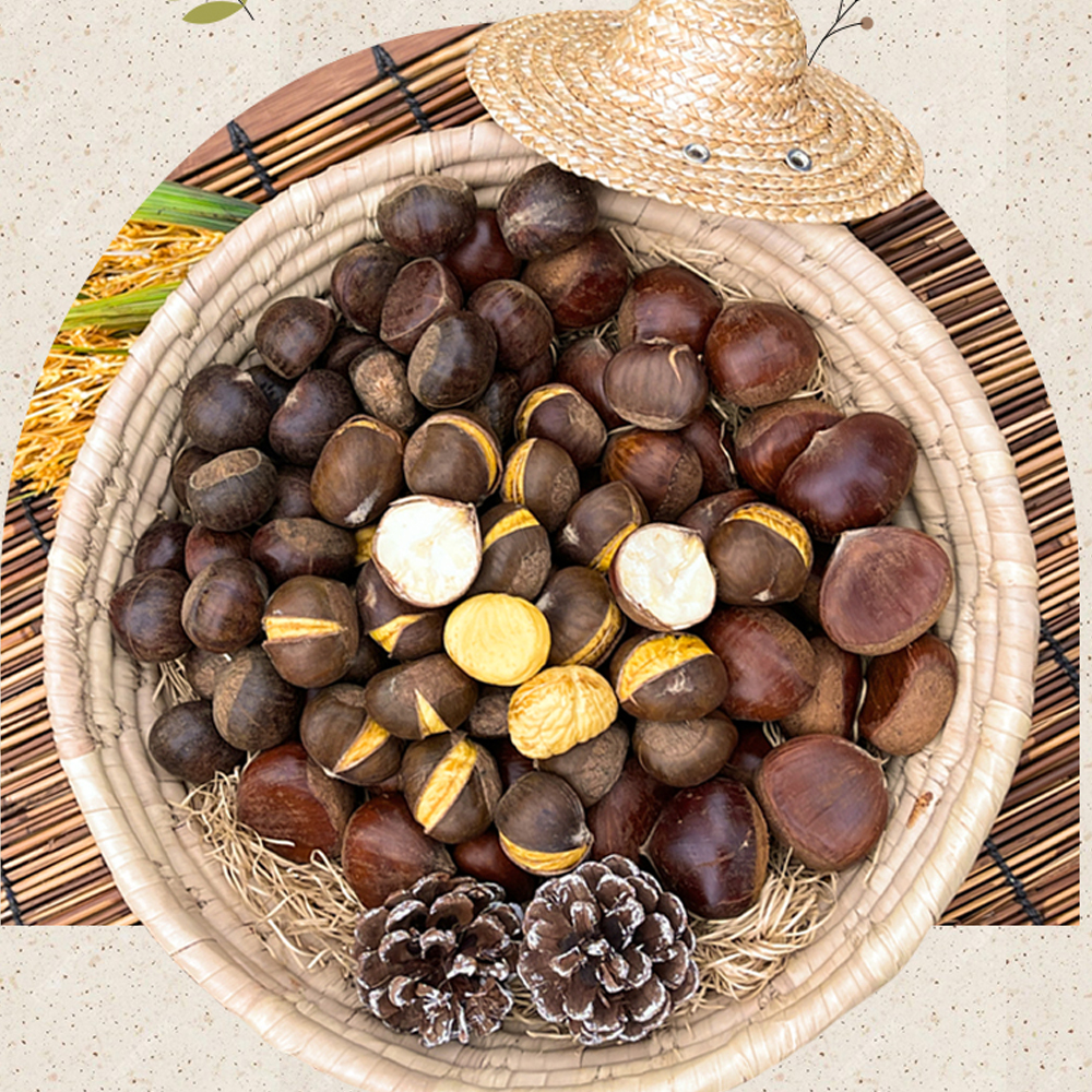 공주밤 고소하고 탱글한 제철 햇밤 1kg