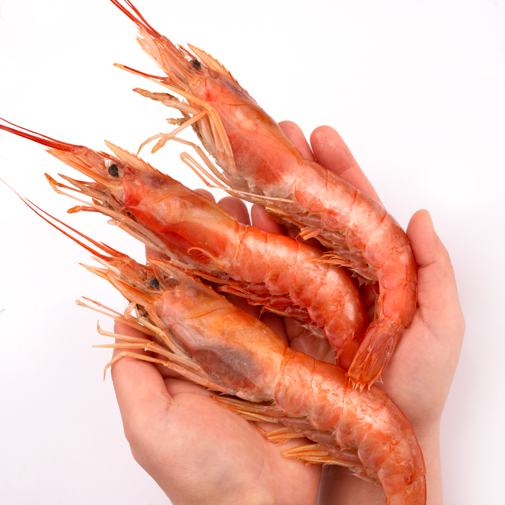 자연산 홍새우 2KG L1 L2 급냉 아르헨티나 붉은새우 적새우 랍스터 냉동