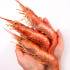 자연산 홍새우 2KG L1 L2 급냉 아르헨티나 붉은새우 적새우 랍스터 ... 맛있게 먹은 솔직 후기 썸네일