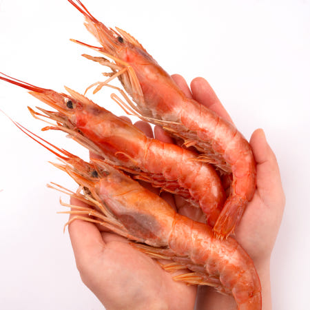 자연산 홍새우 2KG L1 L2 급냉 아르헨티나 붉은새우 적새우 랍스터 냉동