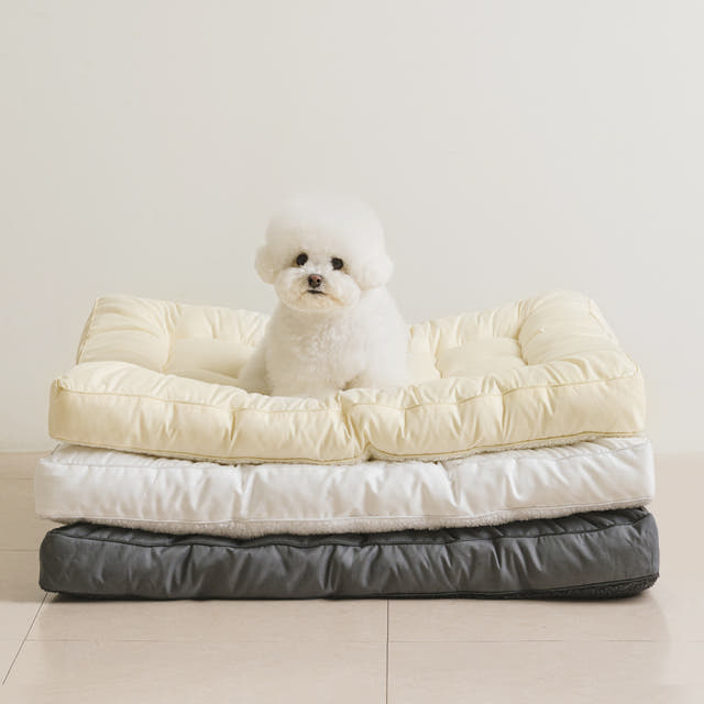 뭉연구소 양면 강아지 방석 고양이 애견 통세탁 쿠션 반반 사계절 토퍼