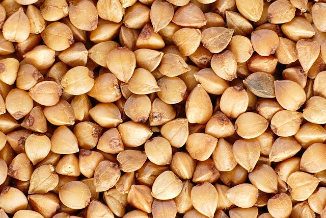 국산 100% 제주 순 메밀국수 메밀면 냉소바 건면 1팩 500g 이미지 6