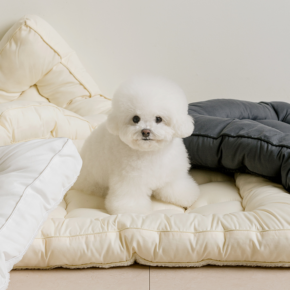 뭉연구소 양면 강아지 방석 고양이 애견 통세탁 쿠션 반반 사계절 토퍼 SS - 상세 이미지 4