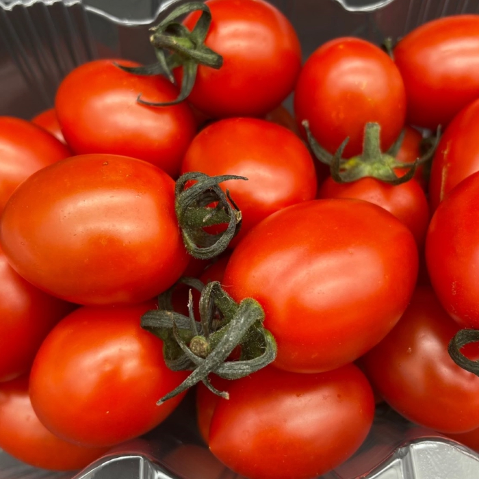 고당도 스테비아 방울토마토 달콤한 미니토마토