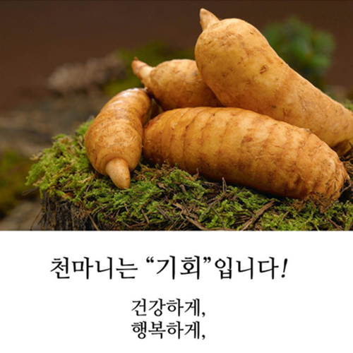 천마니 프리미엄 무주 천마 환 스틱 100포 2박스 고품질 진피 찹쌀 맥아 귀한 선물 - 상세 이미지 4