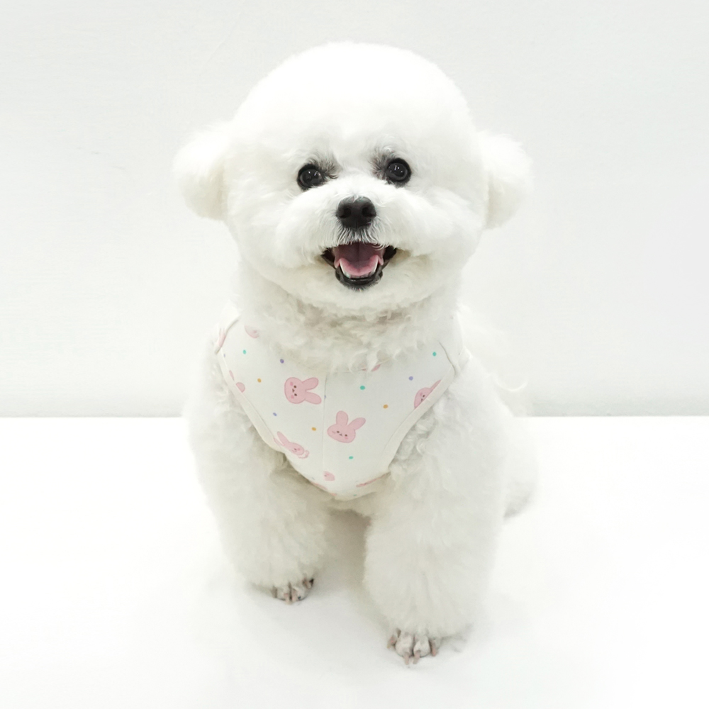 강아지옷 고양이옷 오가닉 코코바니 실내복 티셔츠 - 상세 이미지 4