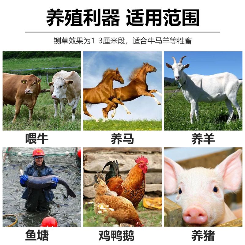 농업용파쇄기 볏집 나뭇가지 건초 절단 톱밥 목재 분쇄 - 상세 이미지 4
