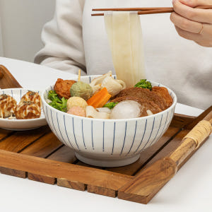 모루 일본풍 도자기 면기 2P 세트 라면 덮밥 그릇 실사용 후기 | 효과 있을까? - 상품 이미지 4
