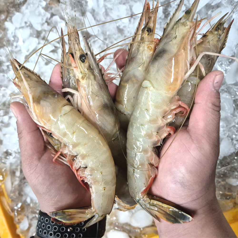 깠슈 자연산 대하장 간장 양념 깐새우장 500g 1kg 이미지 7