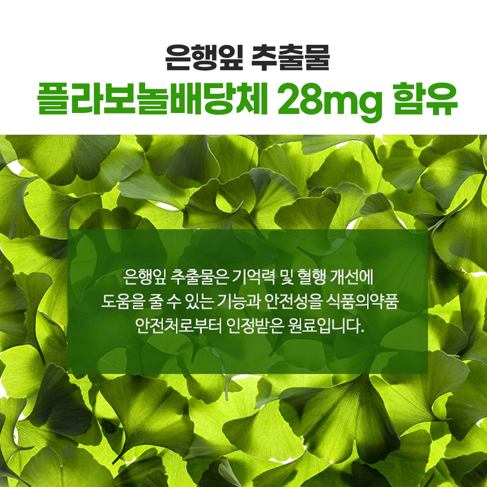 유한메디카 징코 프리미엄 은행잎추출물 혈액순환 기억력 혈행 개선 영양제 100정, 3개 이미지 3