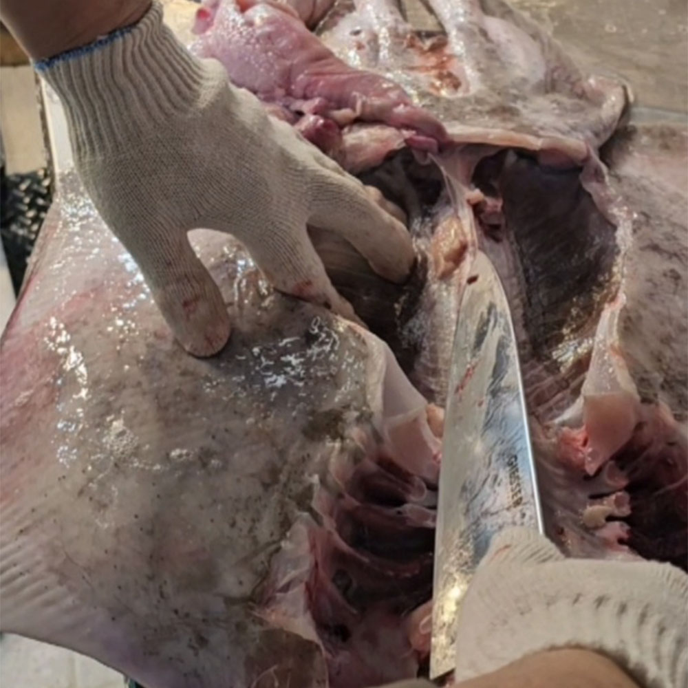국내산 전라도 흑산도 홍어회 2kg/2대50년째 숙성의달인/명품 강진묵은지와 홍어 삼합으로 - 상세 이미지 5