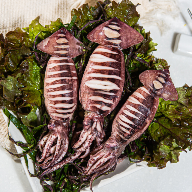 구룡포 통찜용 오징어 500g 오징어순대 원양산 제철 수산물